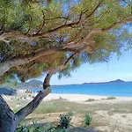 Agora